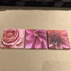 Floral Canvas Prints (Set of 3)